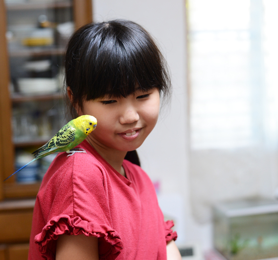 コロナ禍の中、インコを飼い始めて「家族の笑顔が増えました！」 | 鹿児島もぜプレス